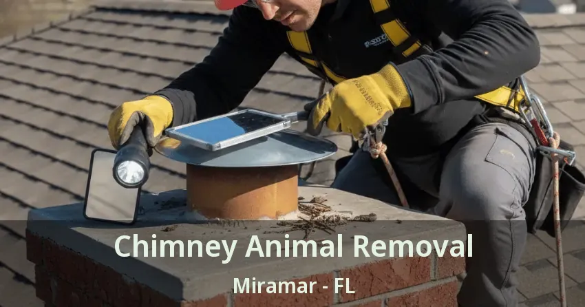 Chimney Animal Removal Miramar - FL