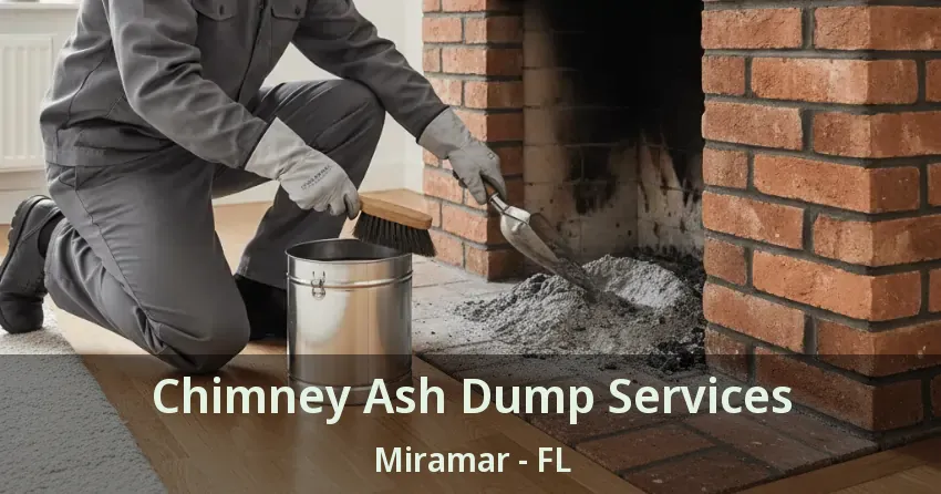 Chimney Ash Dump Services Miramar - FL