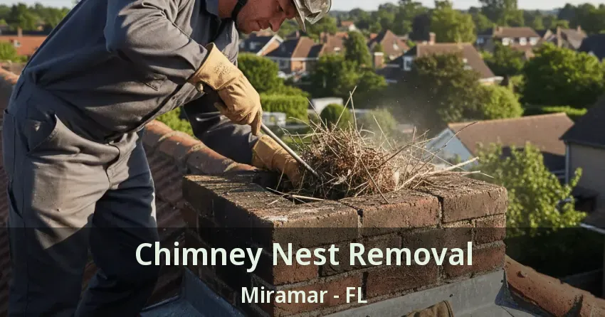 Chimney Nest Removal Miramar - FL