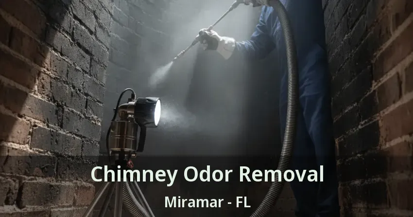 Chimney Odor Removal Miramar - FL
