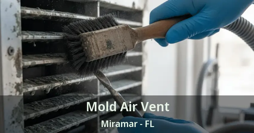 Mold Air Vent Miramar - FL Mold Air Vent Miramar - FL
