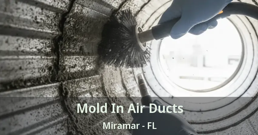 Mold In Air Ducts Miramar - FL Mold In Air Ducts Miramar - FL