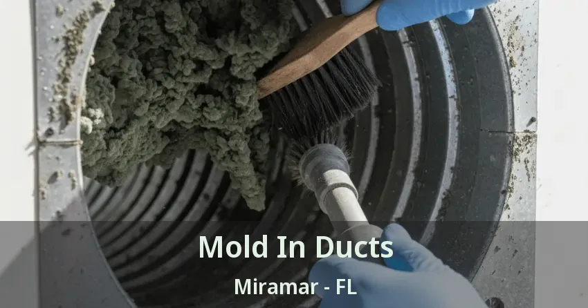 Mold In Ducts Miramar - FL Mold In Ducts Miramar - FL