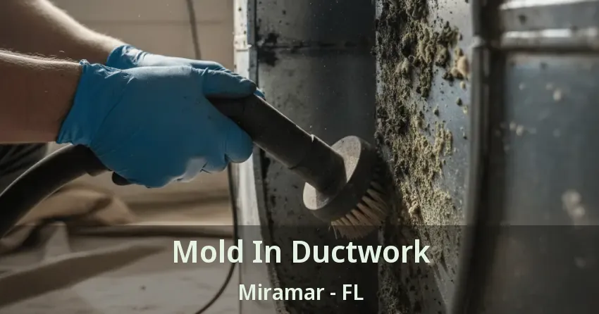 Mold In Ductwork Miramar - FL