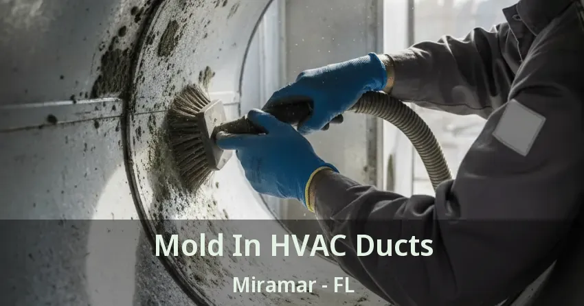 Mold In HVAC Ducts Miramar - FL