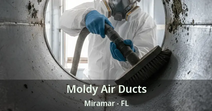 Moldy Air Ducts Miramar - FL